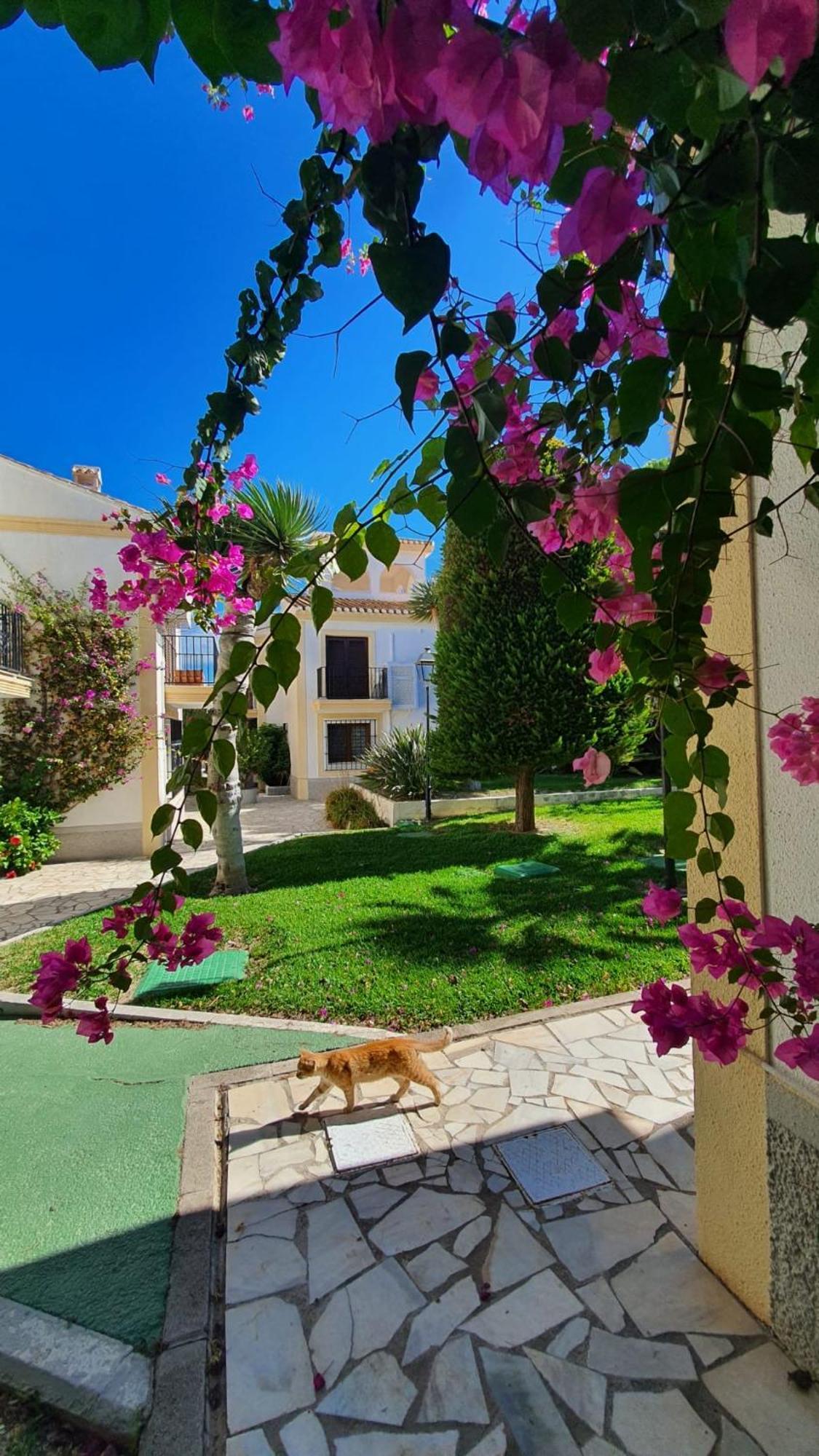Casa Veratense Vera Playa Playas de Vera Esterno foto